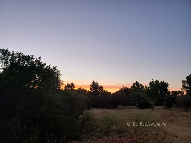 Two Surprises I Found at Larry Moore Park Followed by Sunset