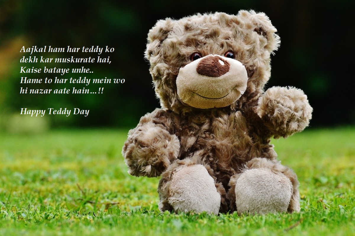 Happy Teddy Day Quotes, Status For Whatsapp And Msg
