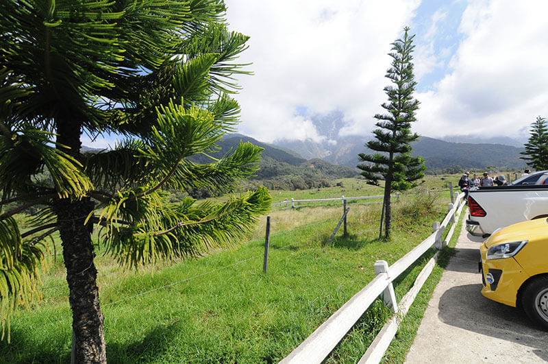 kawasan dairy farm kundasang sabah