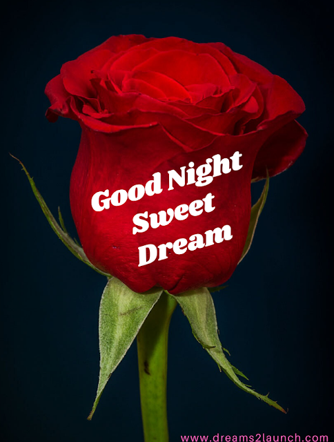 good night red rose