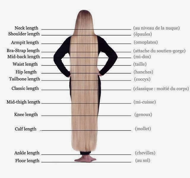 Women's Hair Length Chart