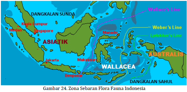 Materi Geografi Kelas Xi Bab Ii B Persebaran Konservasi Pemanfaatan Flora Dan Fauna Di Indonesia Kompas Belajar