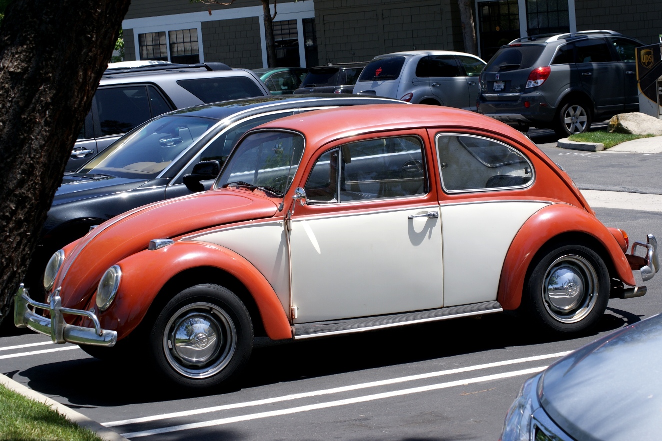 A photo, A thought............ Observation Vintage Volkswagen beetles