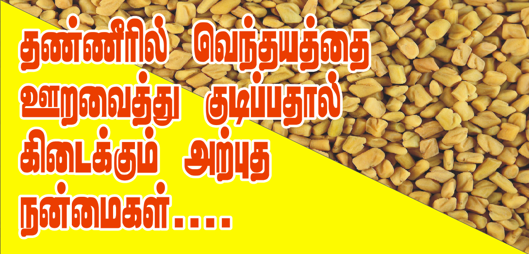 Benefits of Fenugreek Seeds in Tamil uxtamil