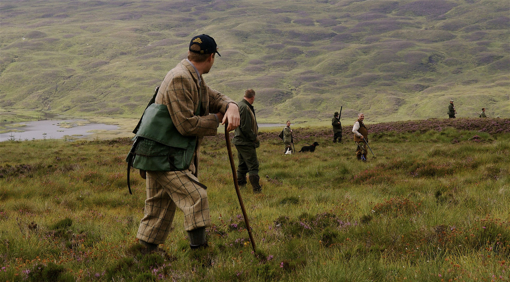 Wingshot Photojournalist Melissa Volpi An Interview