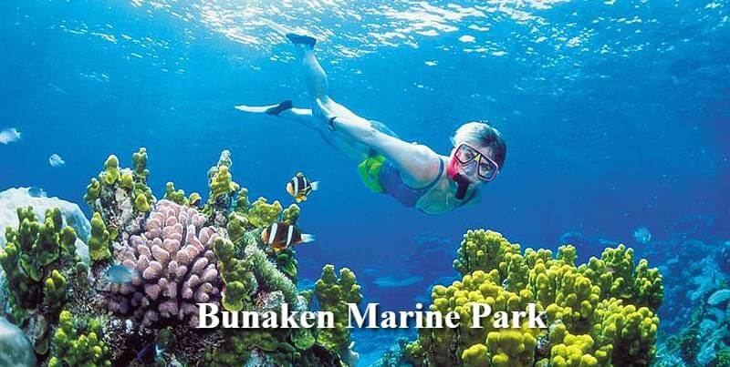 Explore the Beauty of Bunaken Marine Park