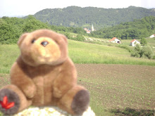 Teddy Bear in Zagorje,Croatian countryside