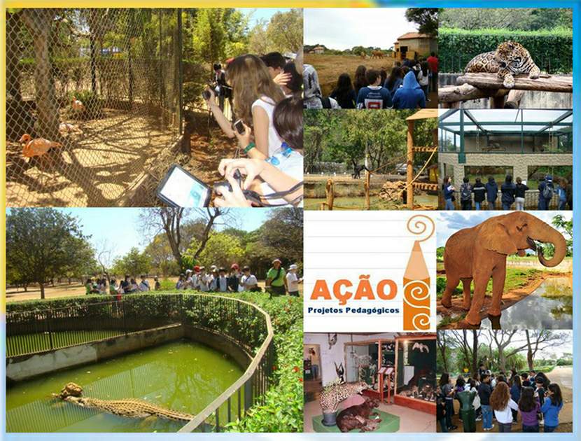 Ação Projetos Pedagógicos Roteiros Brasília Jardim