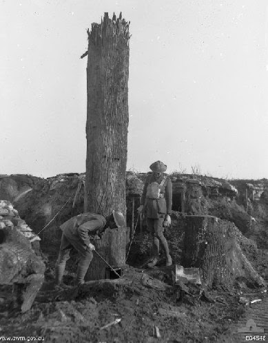 WW1 Camouflage Tree
