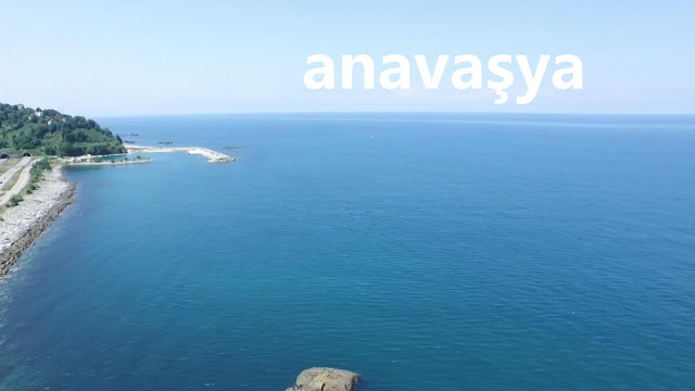 anavaşya