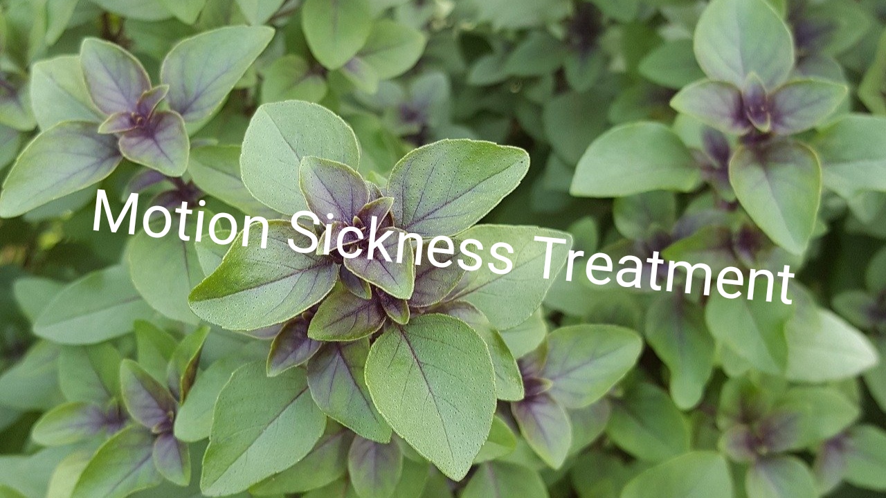 natural remedies for car sickness homeopathic medicine for vomiting during travelling