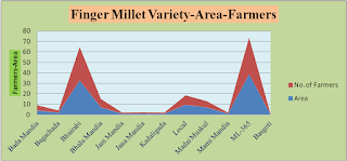Varietal Diversity of Finger Millet
