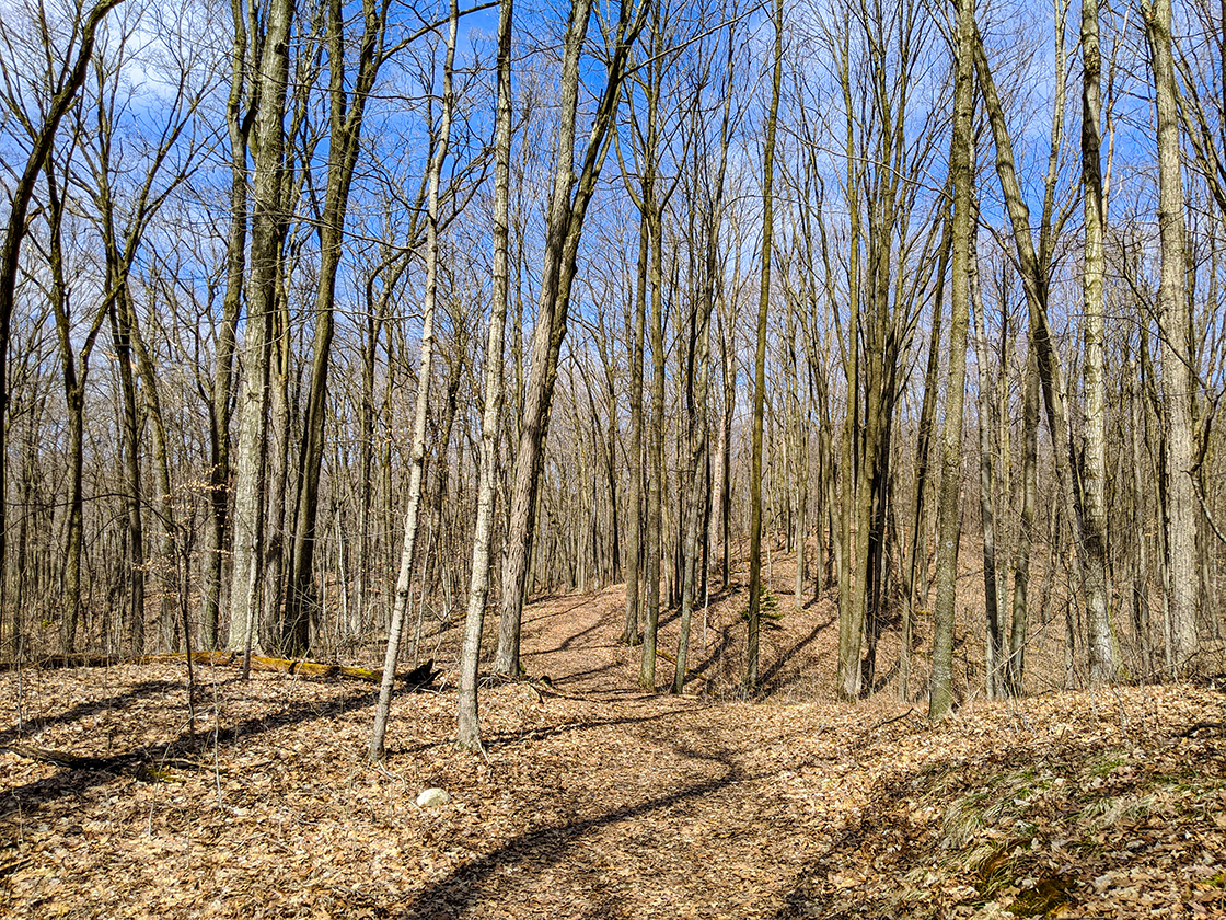 Hiking the New Fane Trails in the Northern Kettle Moraine