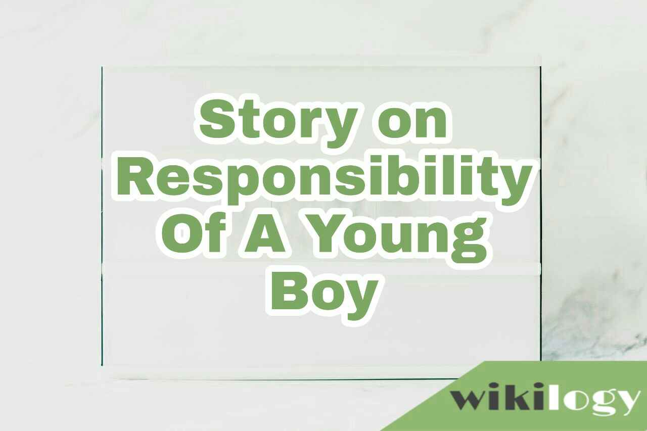 Responsibility of a young boy story/ Sense of responsibility