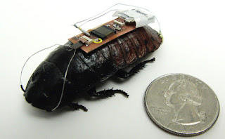 Insect Cyborgs - Biomechatronic Spies
