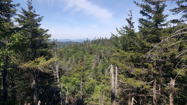 Sentier en direction vers le Round Top (mont Sutton)