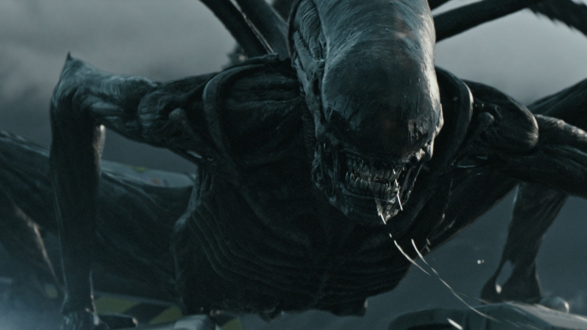 Alien TV Series : ゼノモーフが復活 ! !、ディズニーとFOXが共に株主の Hulu で、「エイリアン」の配信シリーズ化が検討されていることが伝えられた ! !