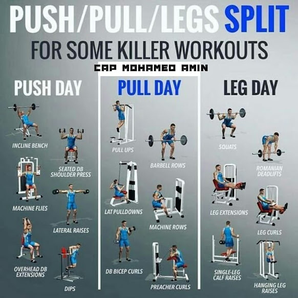 افضل جدول تمارين للمبتدئين والمحترفين بنظام push pull legs