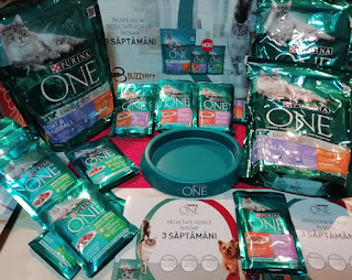 Review Purina One