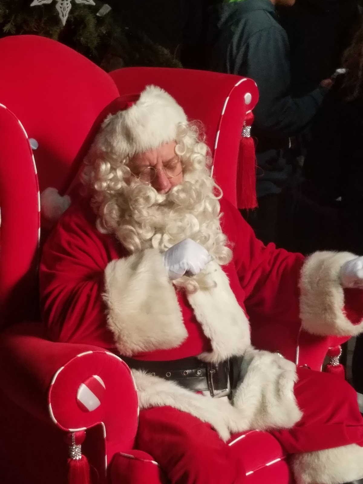 Adventures in Weseland Downtown Hayward Tree Lighting and Santa Con