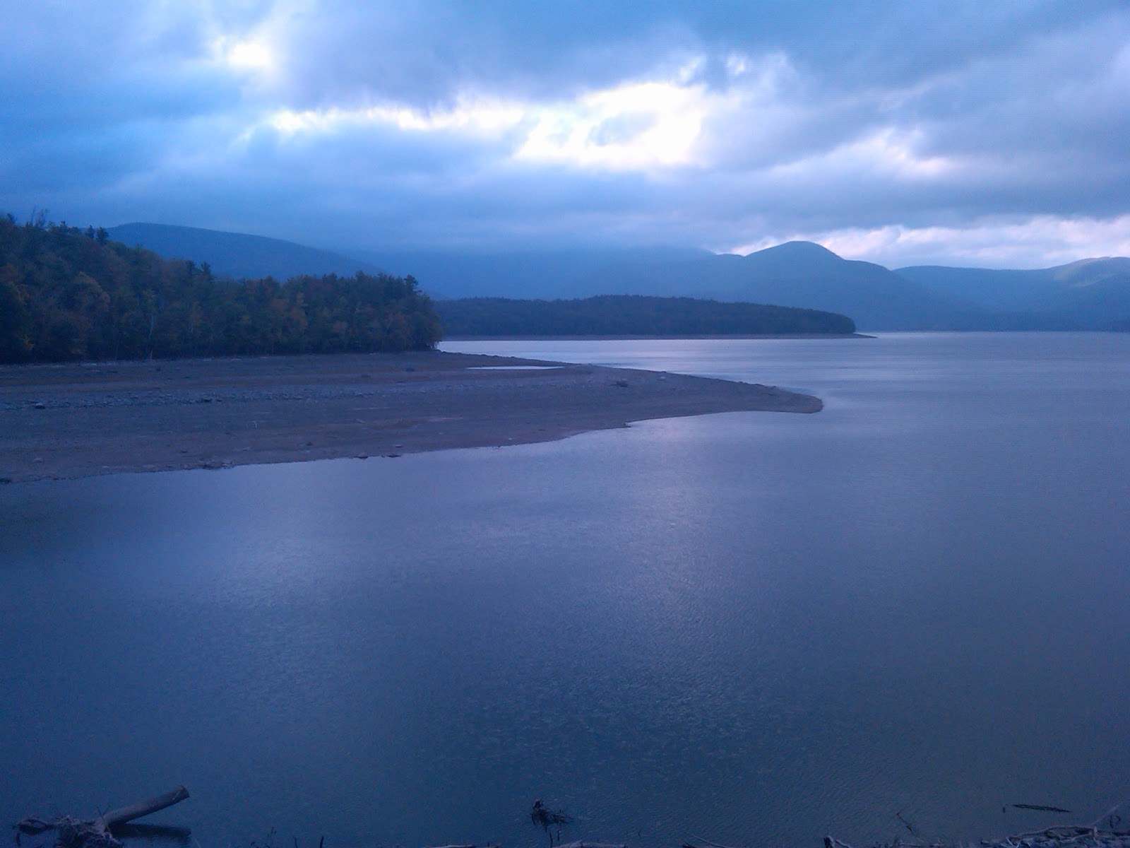 Backyard Birding...And Beyond Searching for Color