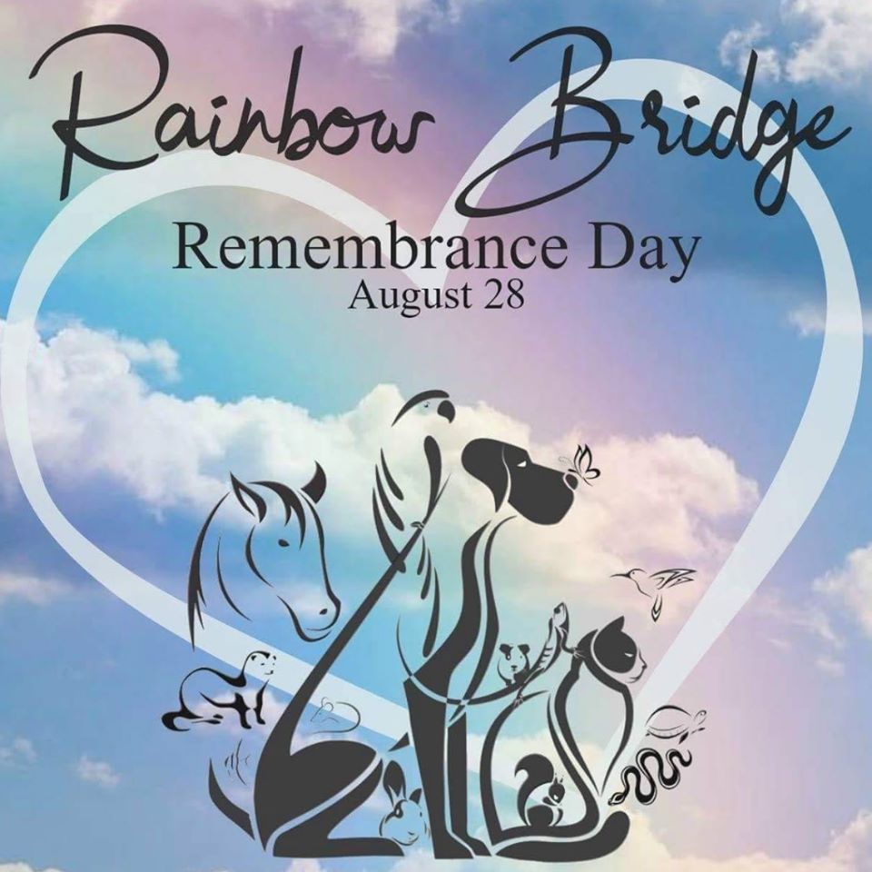 Rainbow Bridge Remembrance Day