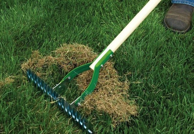 How to Dethatch a Centipede Grass - Best Manual Lawn Aerator