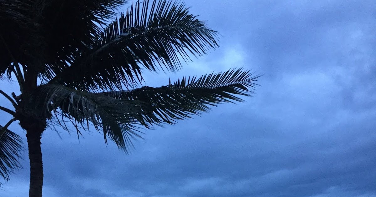 बारिश की साजिश