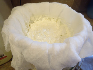 drain cheese curds cheesecloth