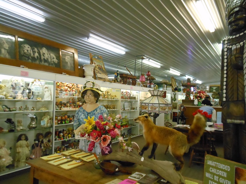 Kentucky Travels Wisconsin Dells Antique Mall