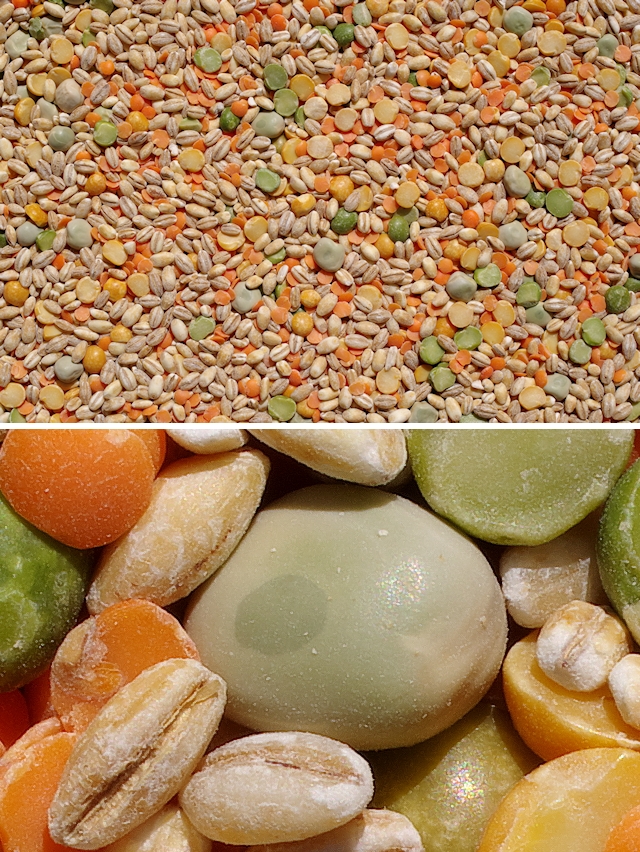 Dried vegetable mix texture