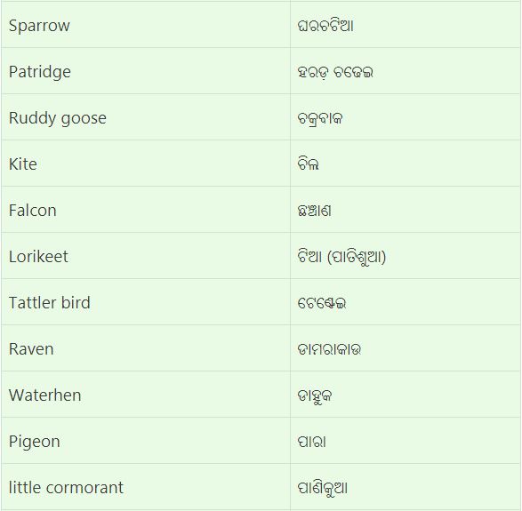Birds Name List in Odia
