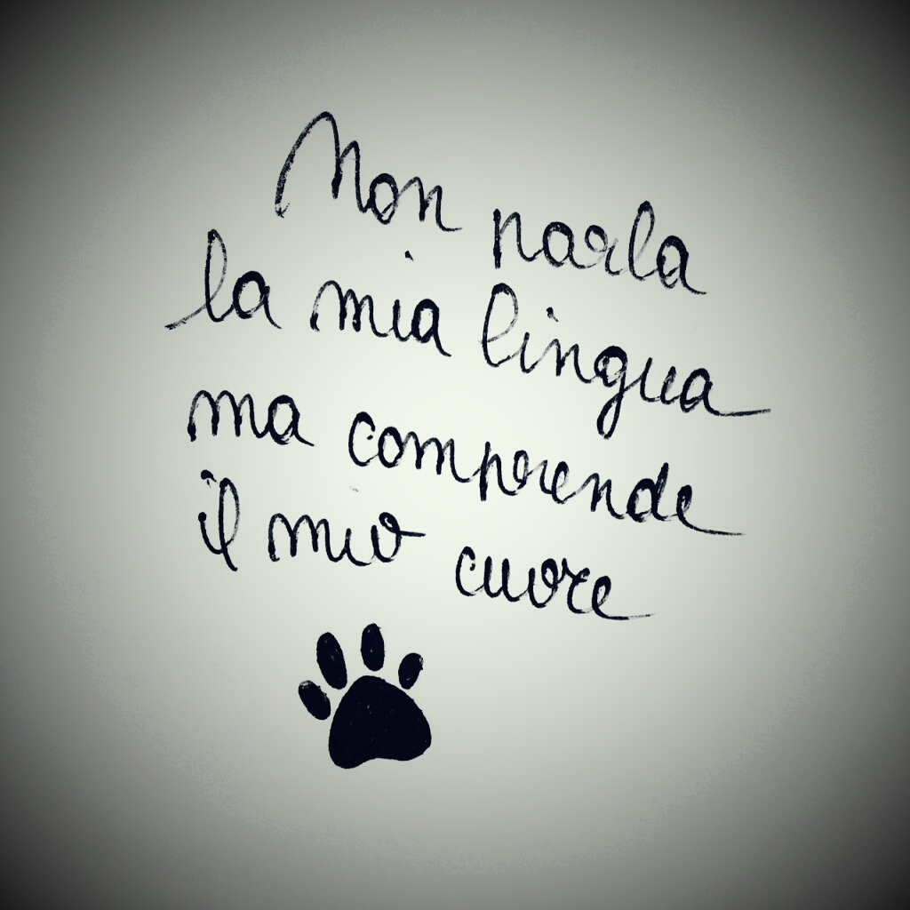 Frasi D Amore Frase Di Amore Vero