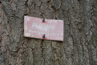 Sign on a red oak tree in Windfields Park, Toronto