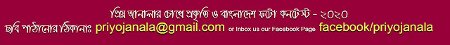 "প্রিয় জানালার চোখে প্রকৃতি ও বাংলাদেশ" আজকের ছবি দেখুন (ছবি নং- ০৫ :: ৩১ ডিসেম্বর ২০১৯)