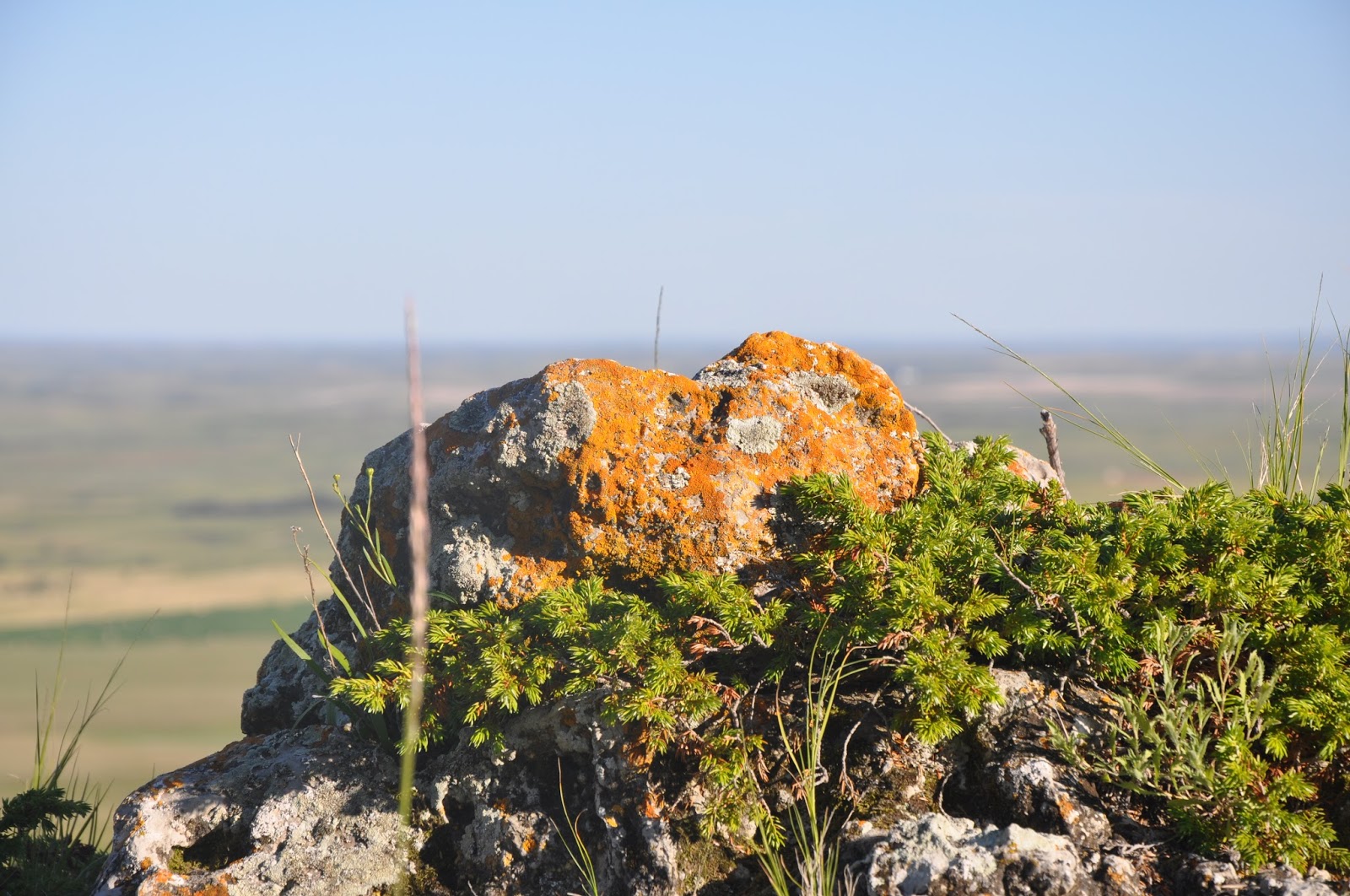 The First Scout Mystic Warriors Of The High Plains The Remains Of
