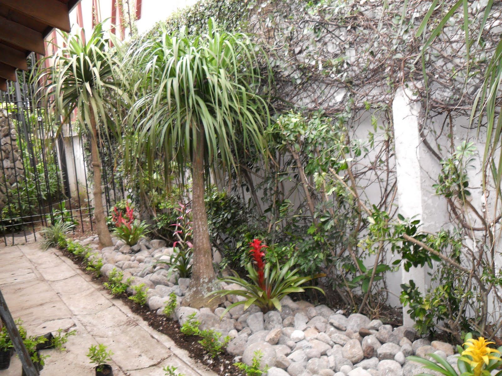 MANTENIMIENTO Y DISEÑO DE JARDINES: jardin Seco