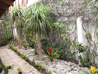 MANTENIMIENTO Y DISEÑO DE JARDINES: jardin Seco