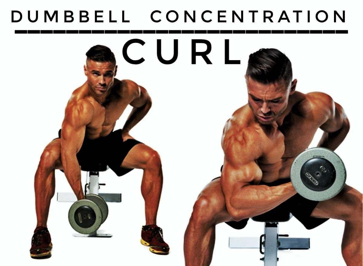 Top 5 bicep exerciseDumbbell concentration curl