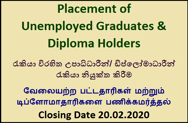 Programme for Placement of Unemployed Graduates and Diploma Holders - English