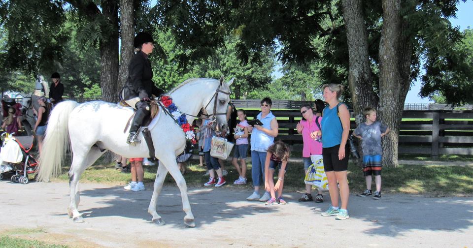 The Model Horse History Project What to Find at BreyerFest