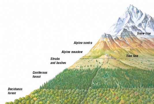 Ключевое слово горы. Снеговая линия. Снеговая линия в горах России. Высота Снеговой линии в горах…. Высота гор схема.