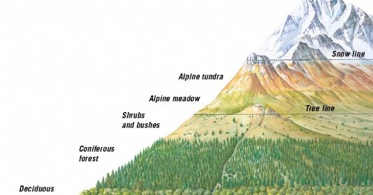Drawing : The problem with mountains and words