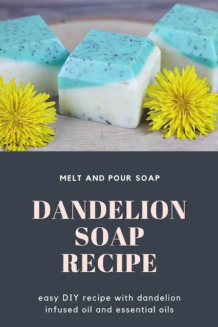 Recipe how to make dandelion soap with dandelion infused oil. This easy DIY soap tutorial uses melt and pour soap base. You get the benefits of dandelion oil plus recipes essential oils. Gets ideas inspiration for a handmade soap for dry skin. Recipes glycerin soap and recipes easy for a homemade bar of soap for hands or body. This exfoliates naturally with poppy seeds.  #soap #dandelion #meltandpour
