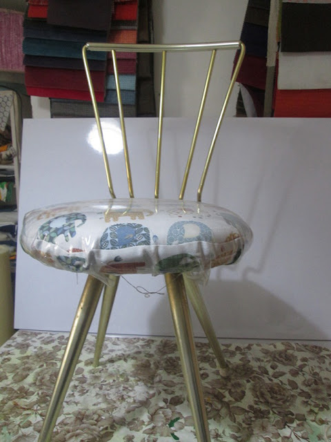 IMG 0001 - גינה בבית