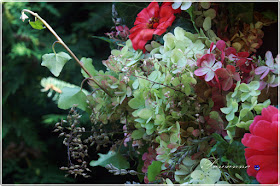 garland of hydrangea, autumn garland, wianek z hortensji, jesienny wianek,  how tu make wreath of hydrangea