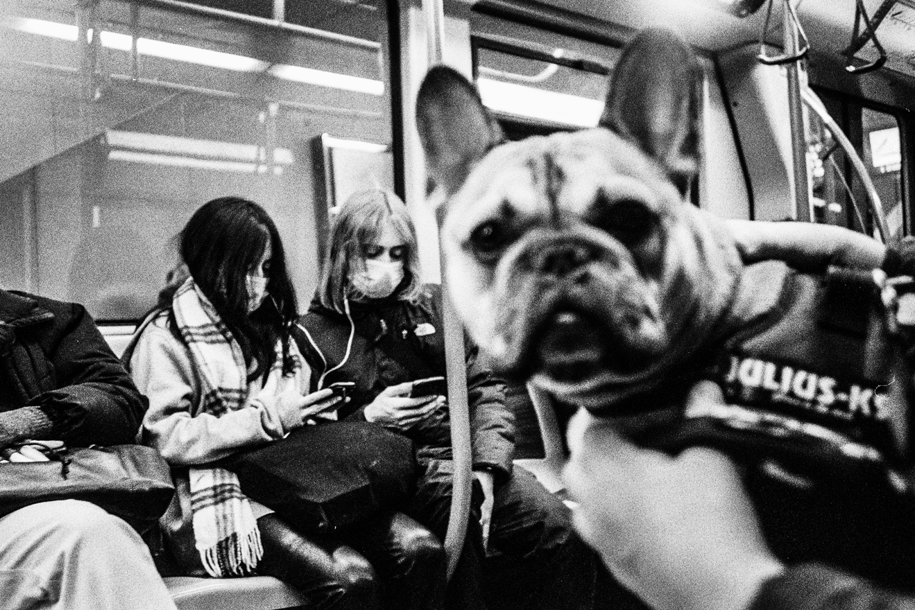 KleptoMan vol 2 Mathieu Van Assche