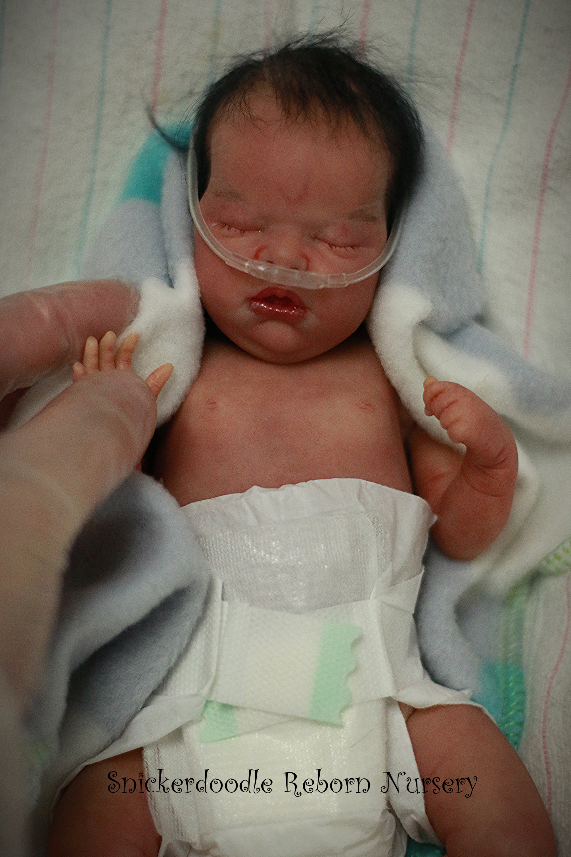 little lambs reborn nursery