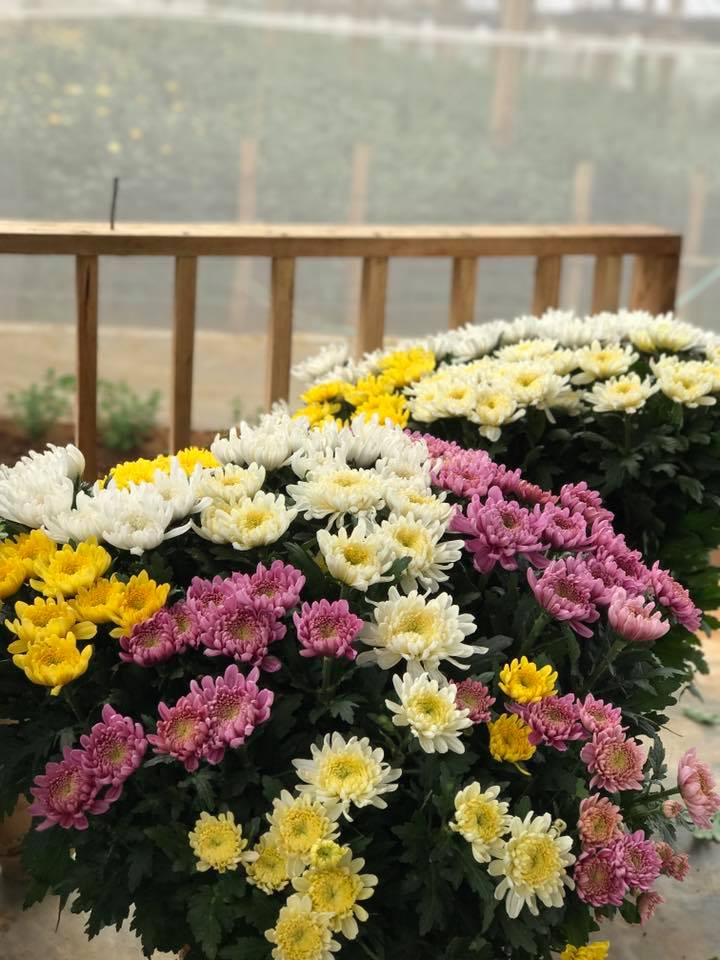 Cozy Home Idea Home Interior Design Makassar