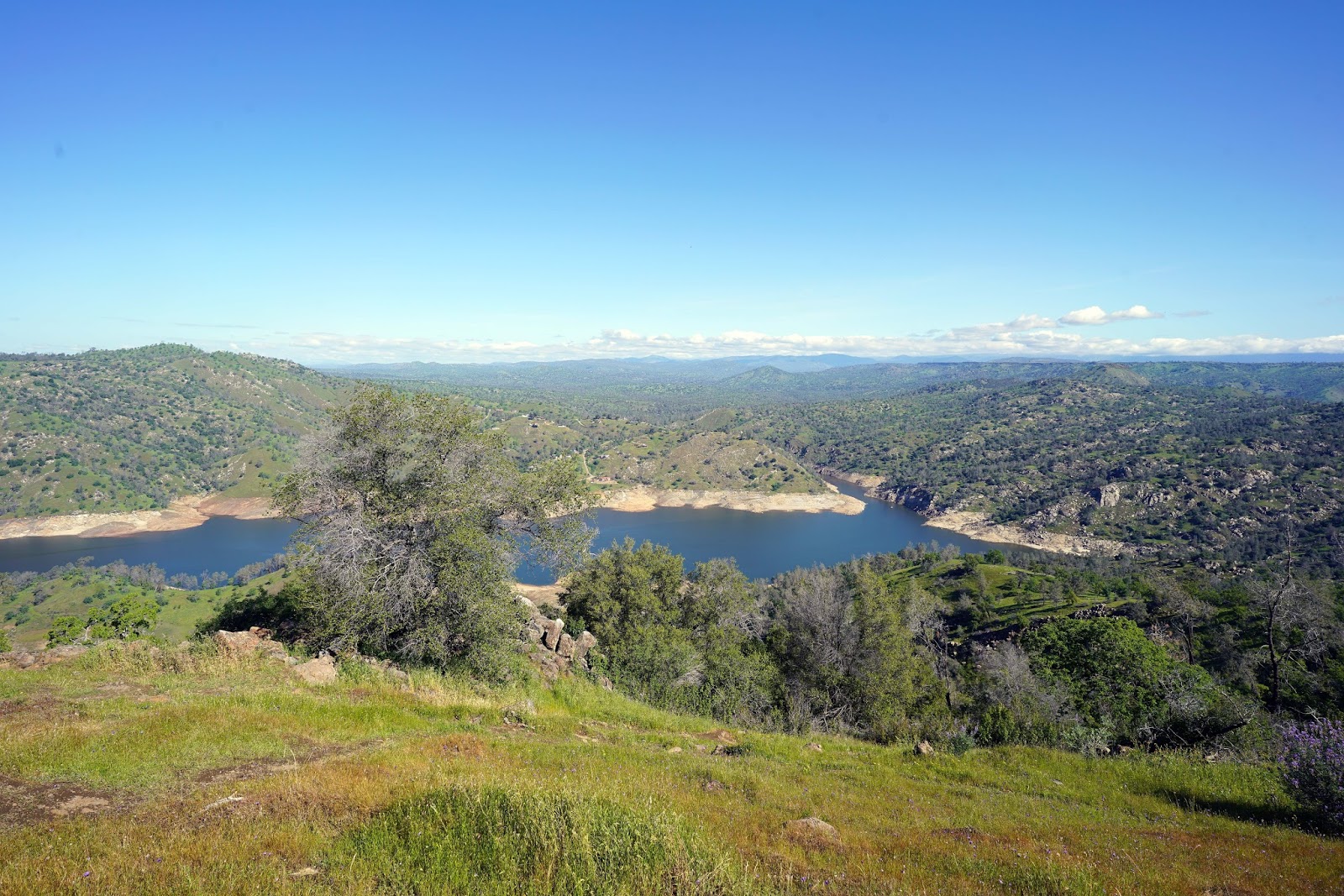 Mid Sierra Musings Millerton Lake Pincushion Mountain Day Hike From Finegold Day Use Area